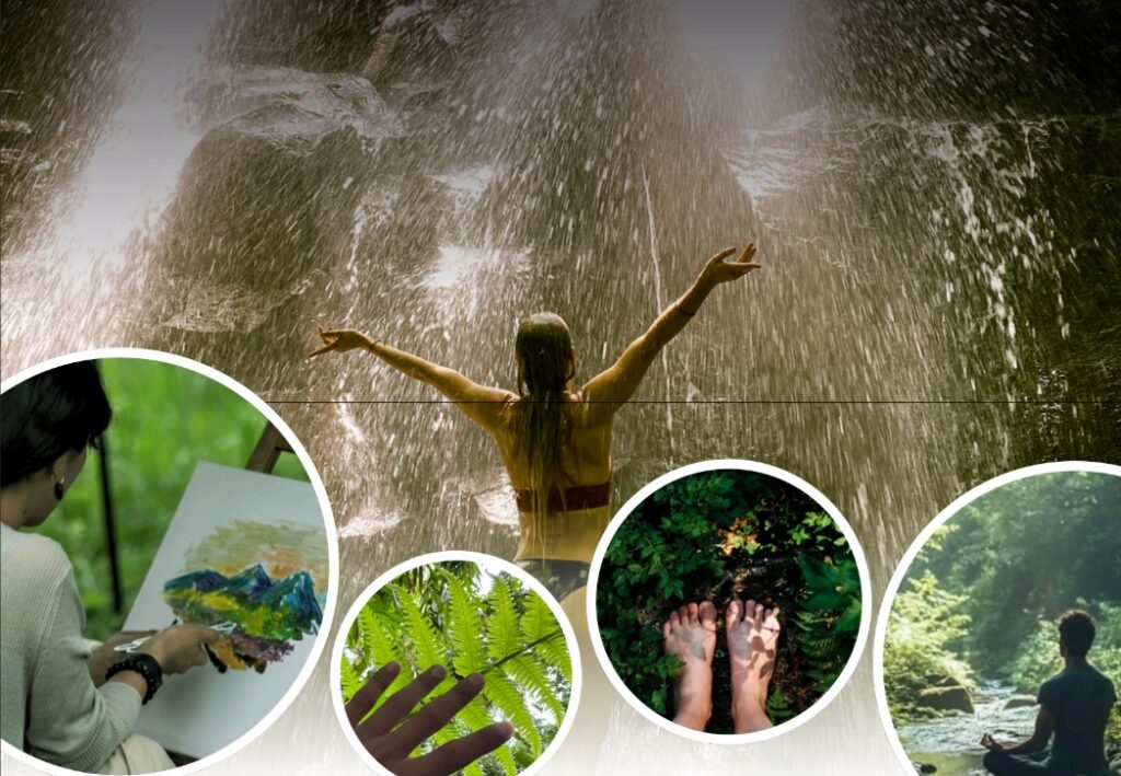 From Jungle Trails to Inner Peace