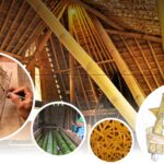 Bamboo Architecture Workshop