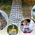 Discovering Bali’s Tri Hita Karana