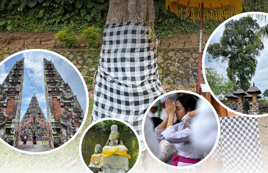 Discovering Bali’s Tri Hita Karana