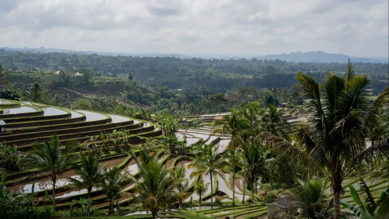 Bali in September: Why the Shoulder Season Is One of the Best Times to Go