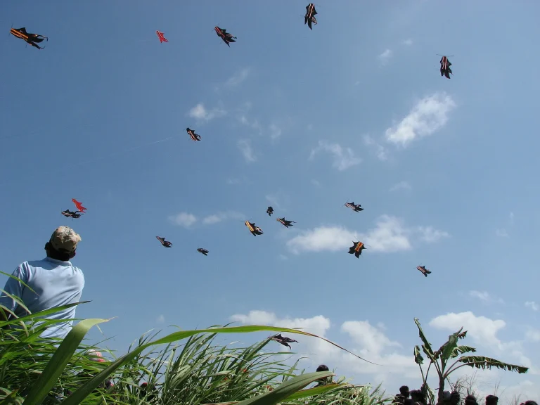 Kite Season in Bali: Why the Sky over Sanur Fills Up in July and August