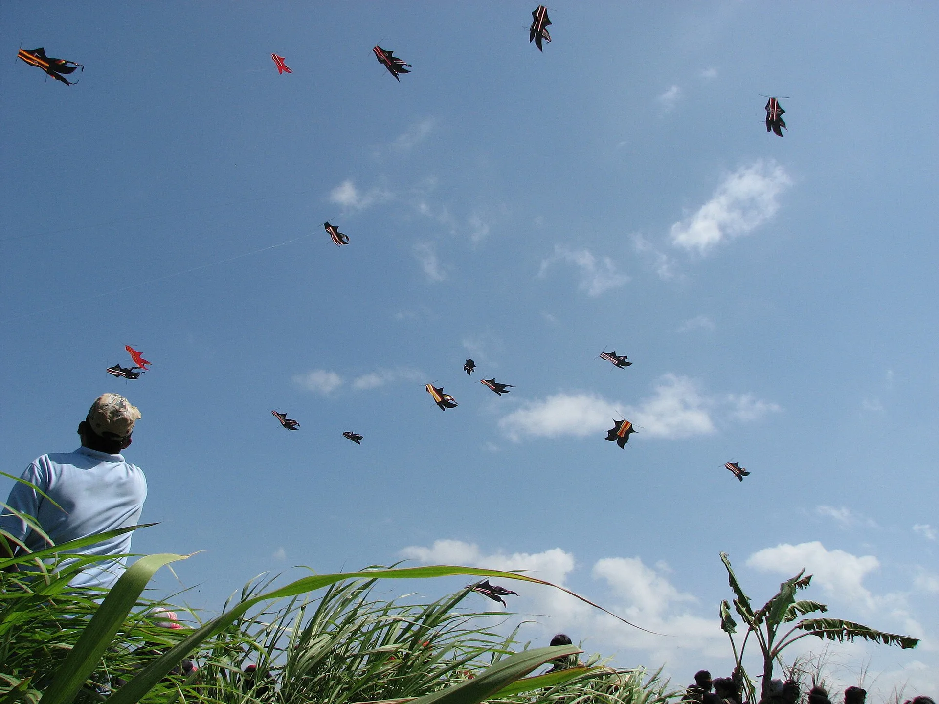 Kite Season in Bali: Why the Sky over Sanur Fills Up in July and August