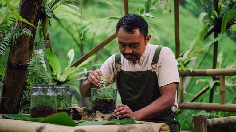 Keeping Bali’s Nights Glowing: Fireflies, Forests and the People Protecting Them