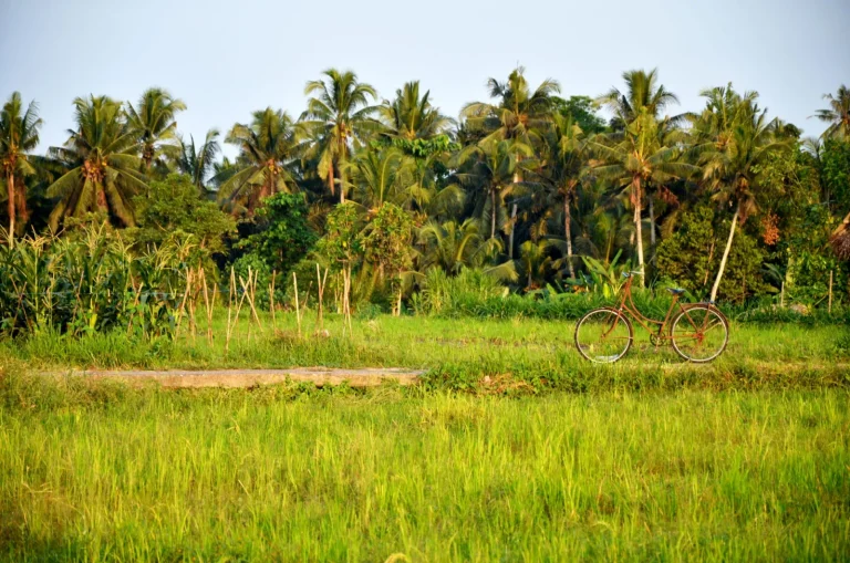 Sidemen, Bali: How to Spend Two Slow Days in the Valley East of Ubud