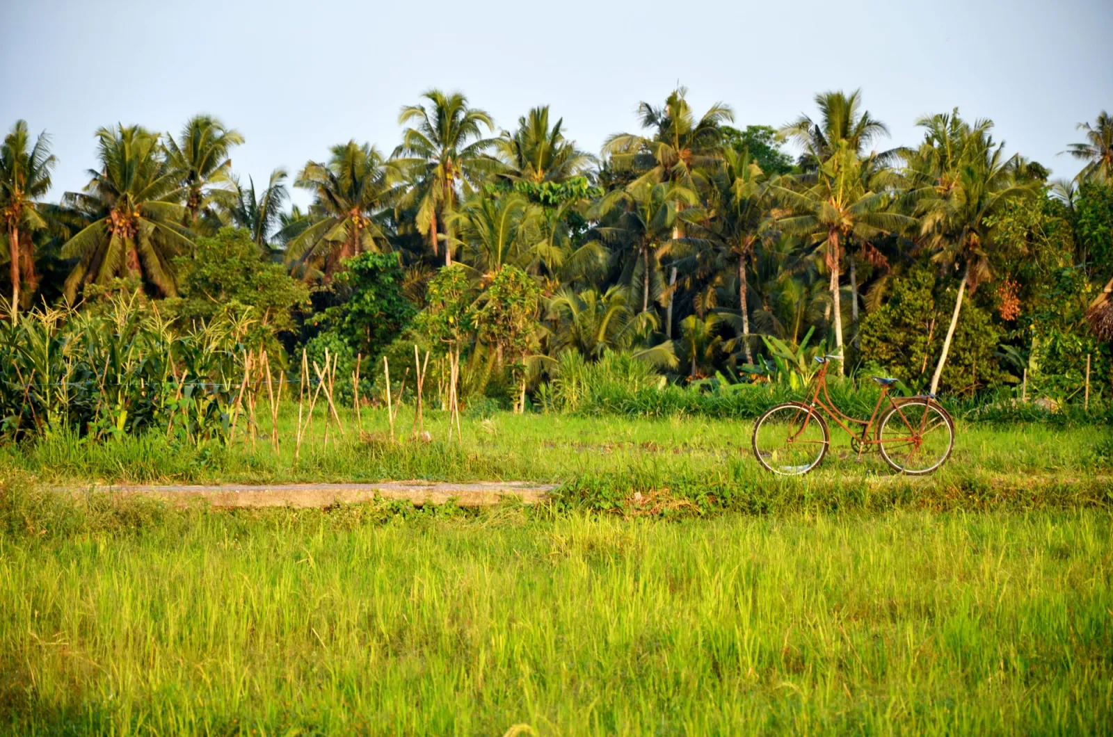 Sidemen, Bali: How to Spend Two Slow Days in the Valley East of Ubud
